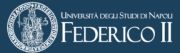 Federico II University