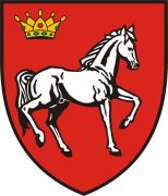 Iasi County Council